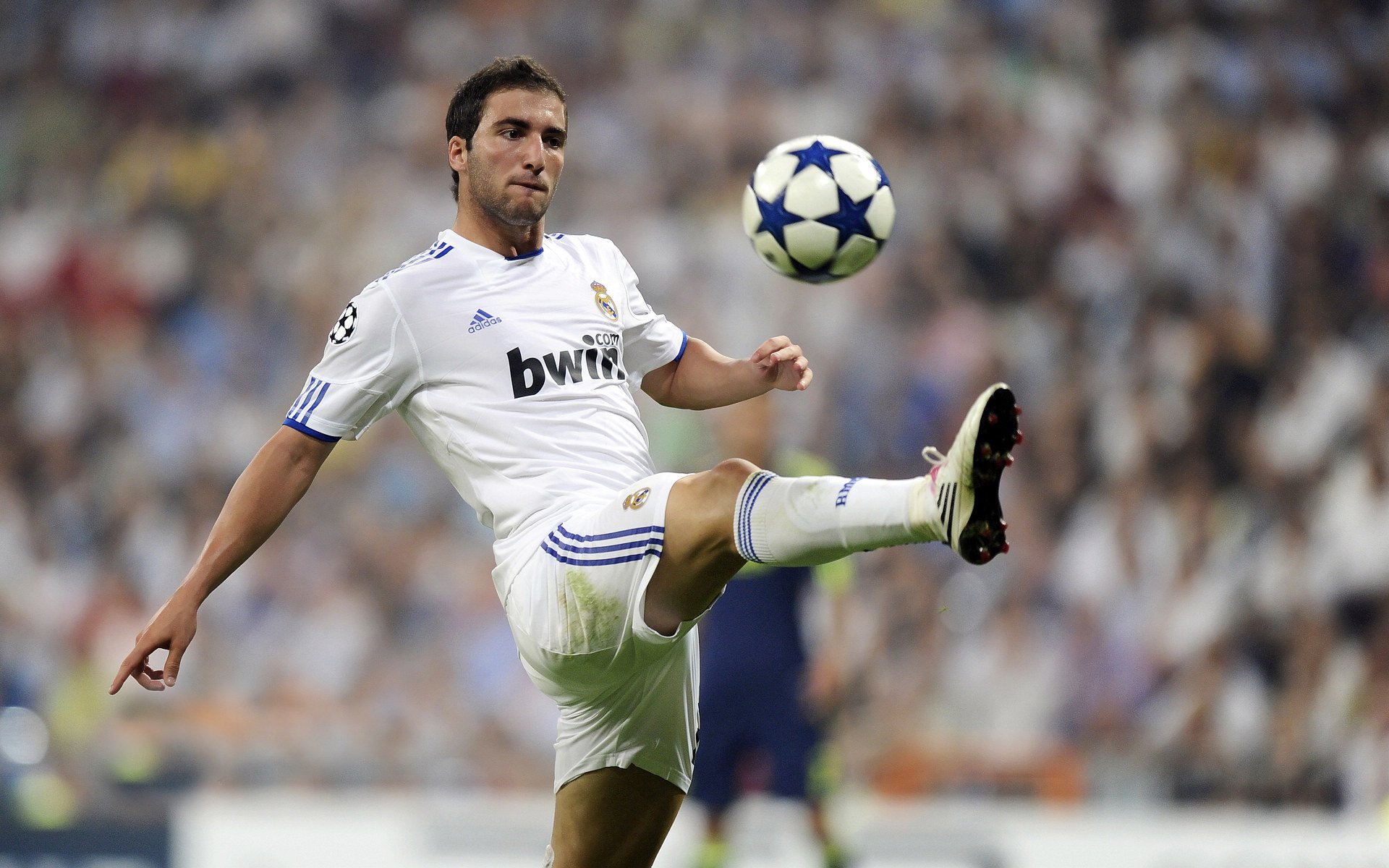 伊布神威定乾坤，爱尔兰轻取贝蒂斯展露冠军相